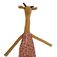 22” Honey Northern Giraffe in Pink